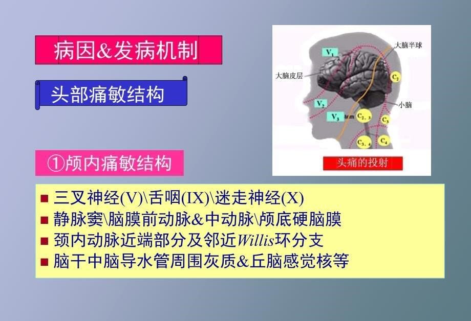 偏头痛的诊断治疗_第5页