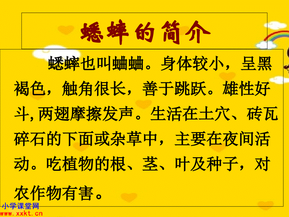 四年级语文上册蟋蟀的住宅课件之八人教课标版_第4页