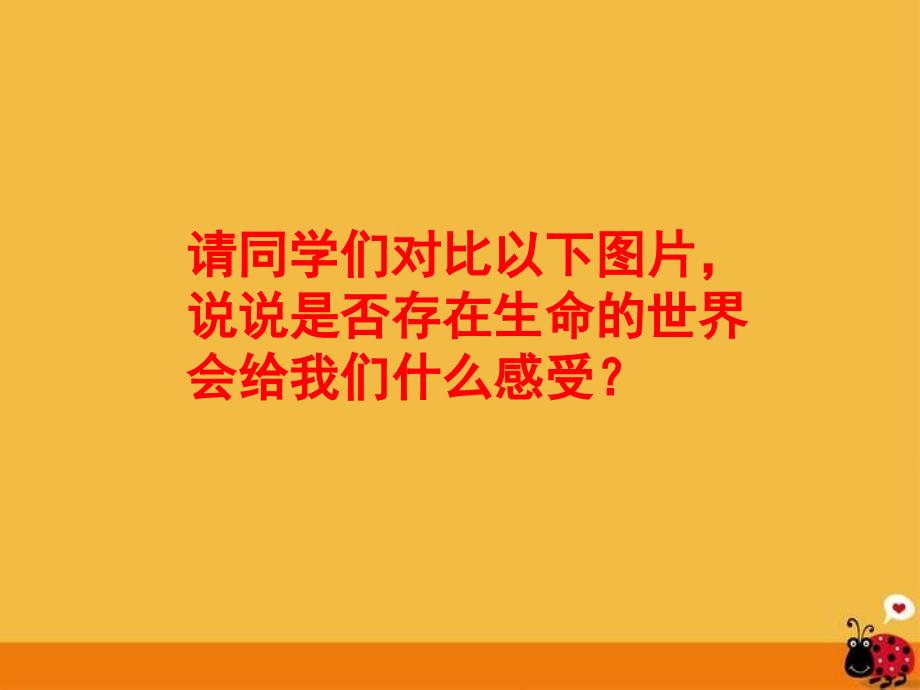 七年级政治世界因生命而精彩资料_第2页