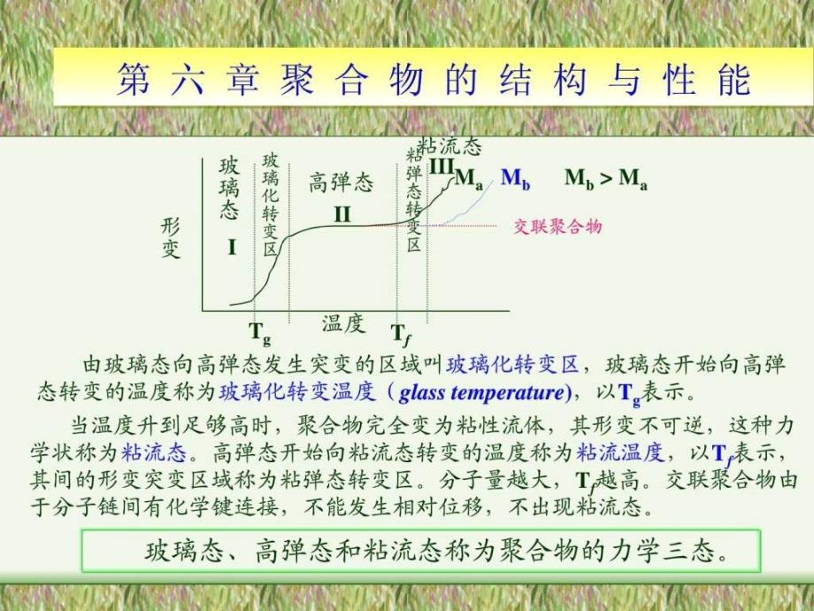 第六章聚合物的结构与性能_第4页