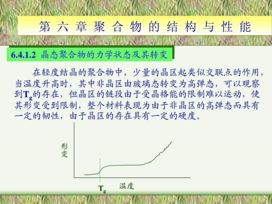 第六章聚合物的结构与性能_第5页