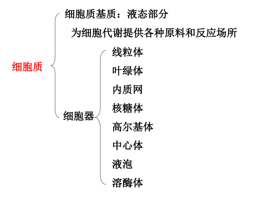 必修一第三章第二节3.2《细胞器-系统内的分工合作》课件_第4页