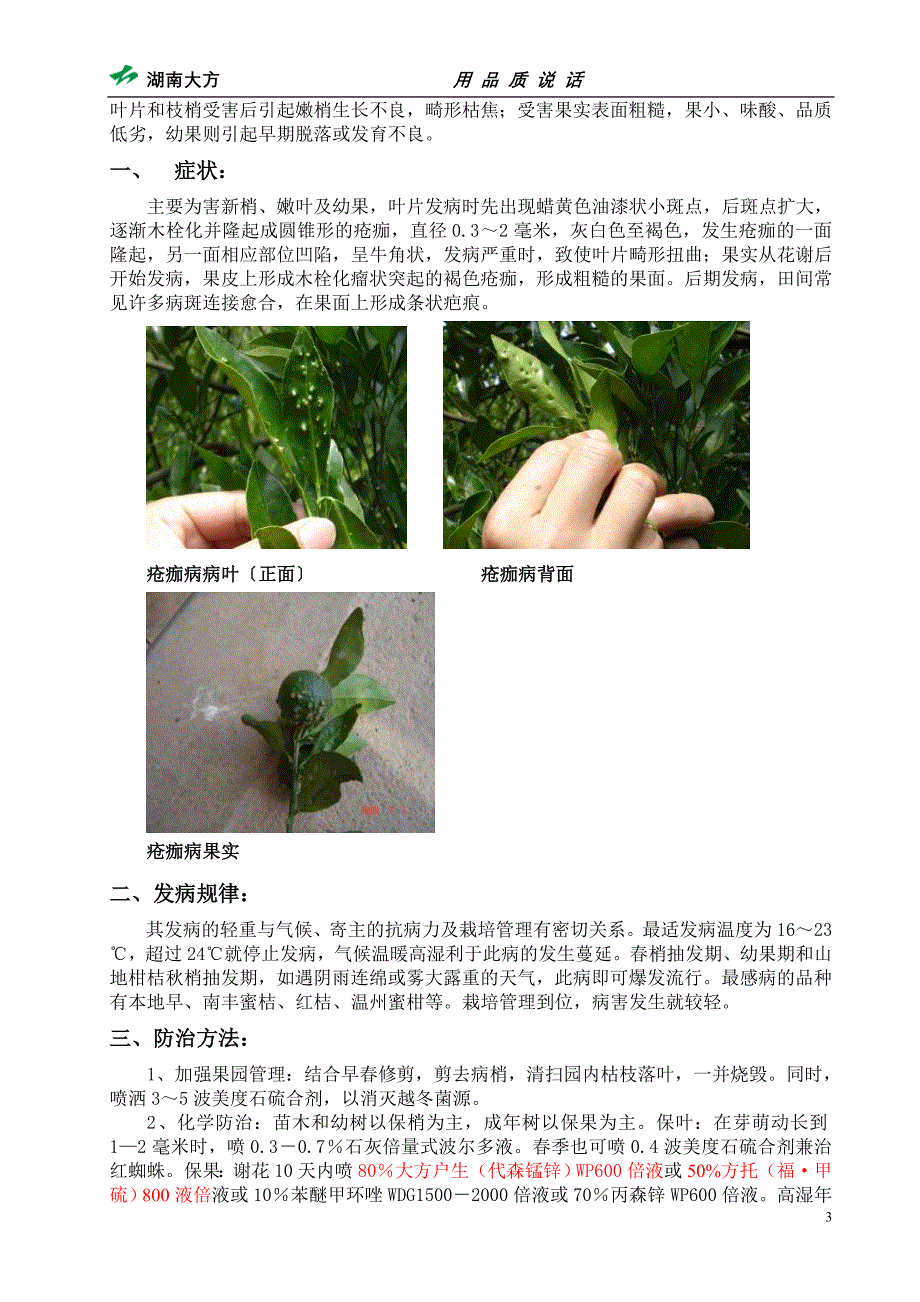 柑橘主要病虫防治工作历 (NXPowerLite).doc_第3页