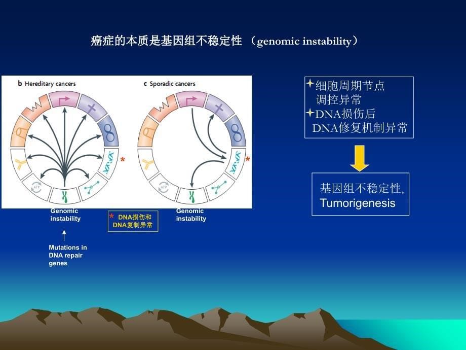 FATS：位于DNA损伤高敏位点的抑癌基因_第5页