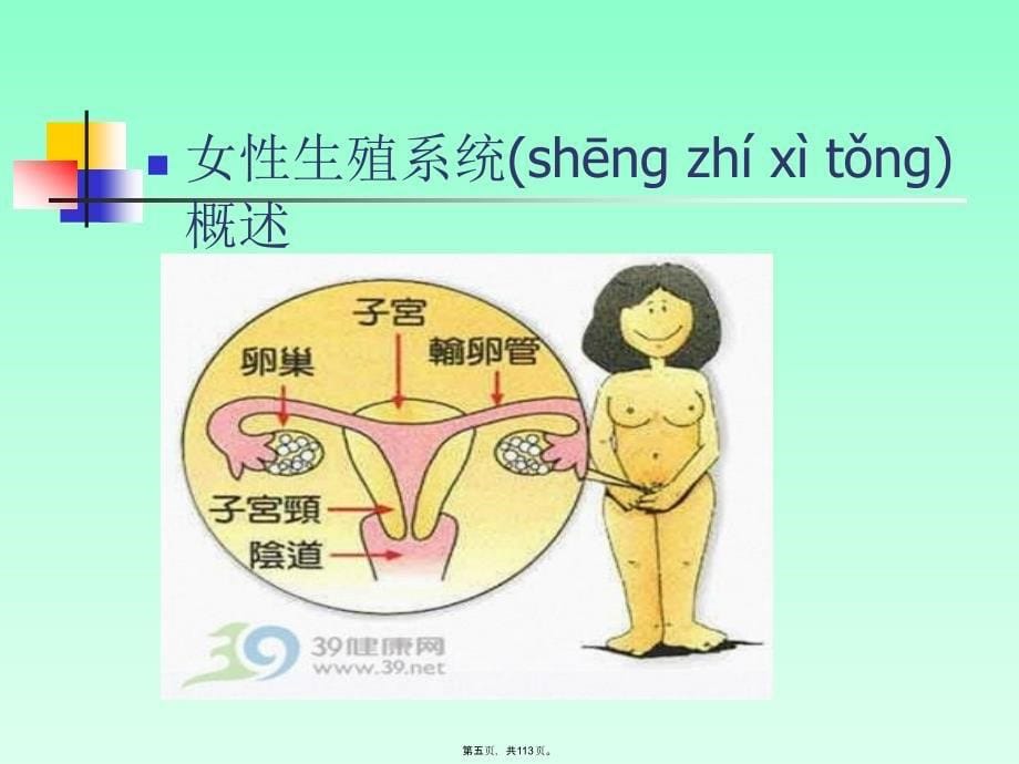 女性健康科普知识讲座备课讲稿_第5页