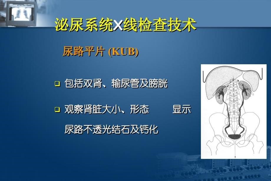 医学影像诊断课件图文详解完整版泌尿系统影像学_第5页