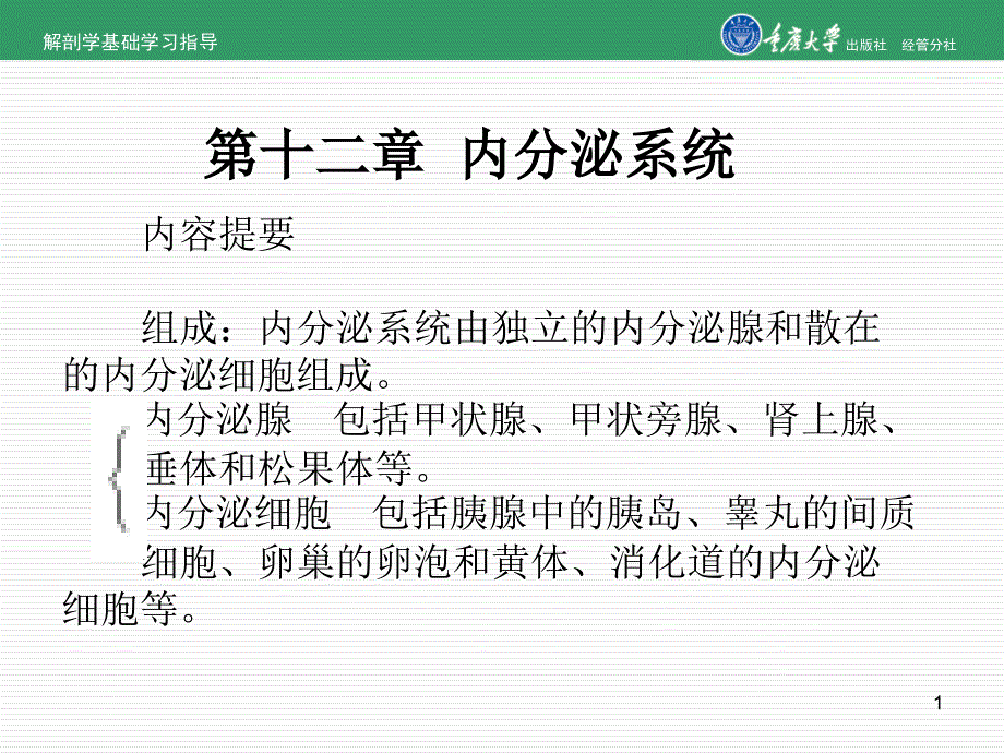 解剖学课件内分泌系统课件_第1页