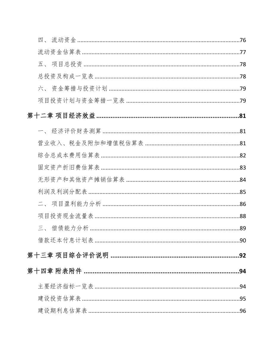 乌海关于成立芯片公司可行性报告(DOC 73页)_第5页