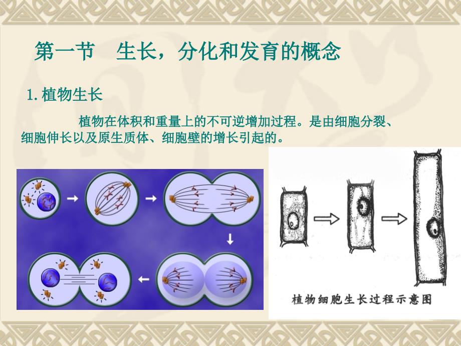 第六章-植物的生长生理ppt课件_第2页