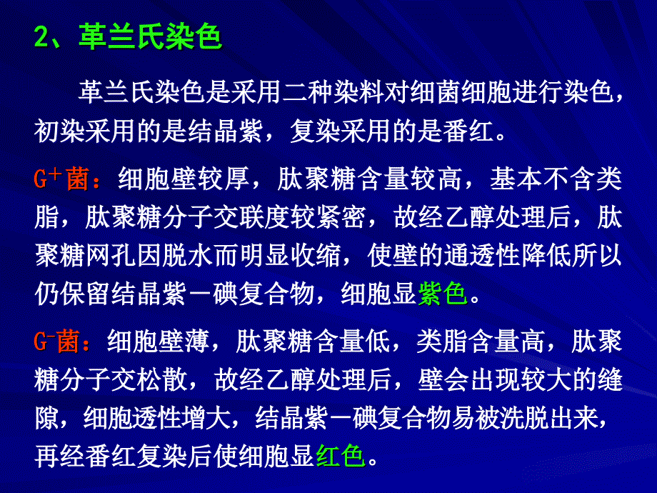 实验细菌的简单染色与革兰氏染色_第4页