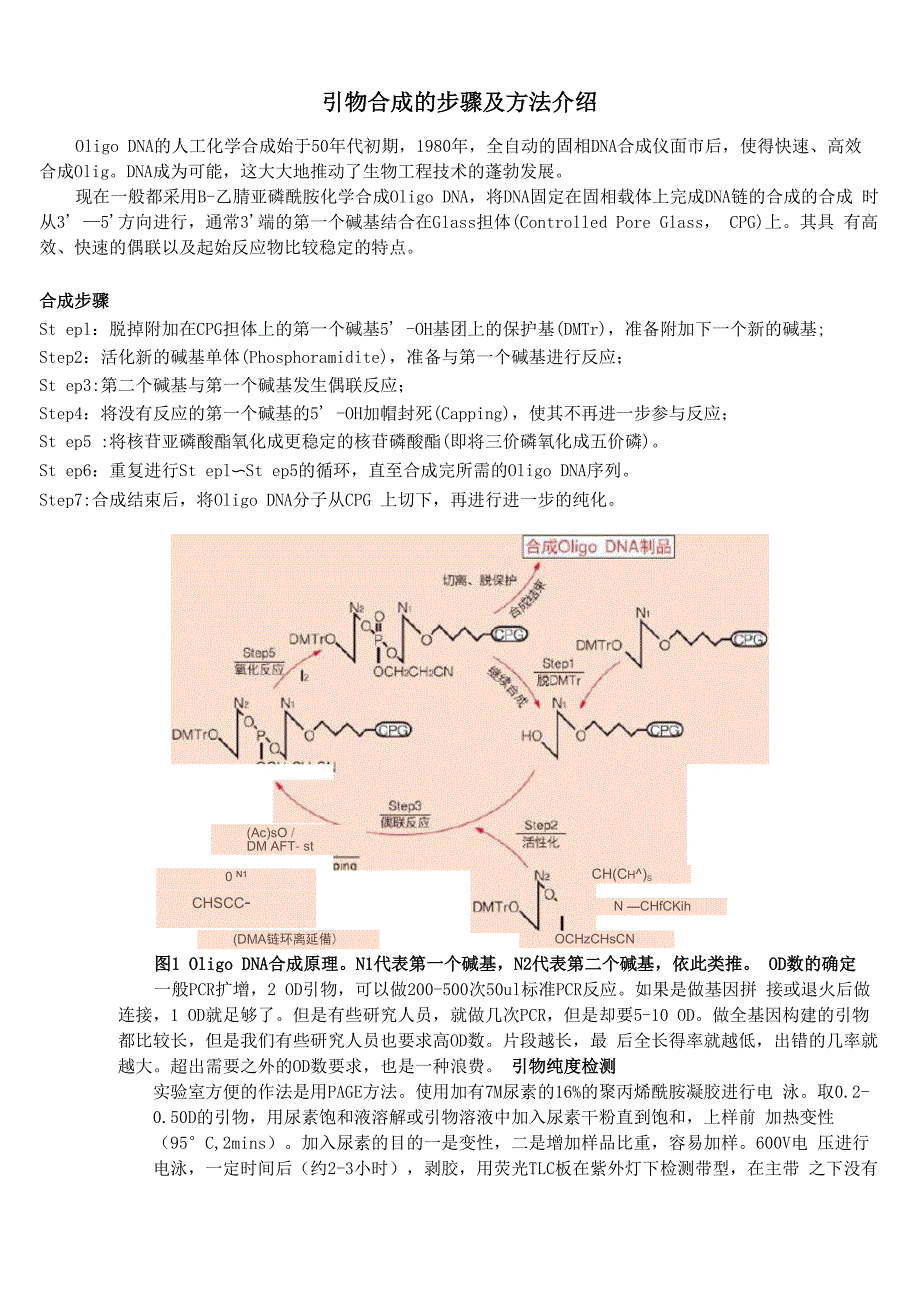 引物合成的步骤及方法介绍_第1页