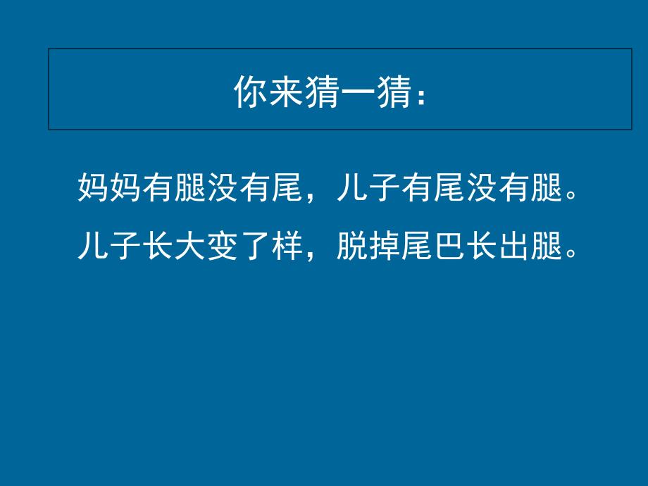 第二节动物的生殖和发育课件初中生物北京课标版八年级上册课件20348geo2k_第1页