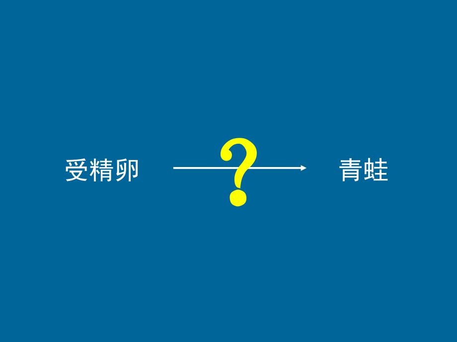 第二节动物的生殖和发育课件初中生物北京课标版八年级上册课件20348geo2k_第4页