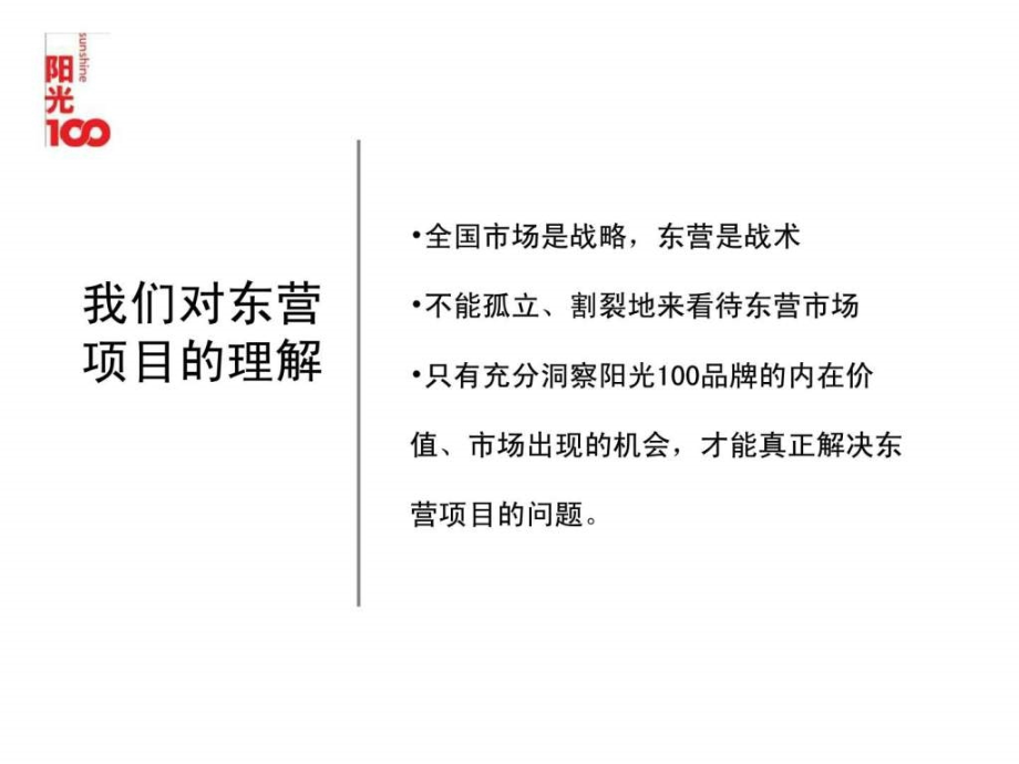 东营阳光100城市丽园营销案_第4页