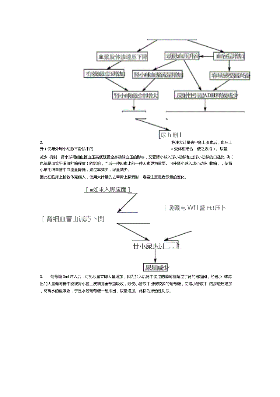 尿生成的影响因素_第2页