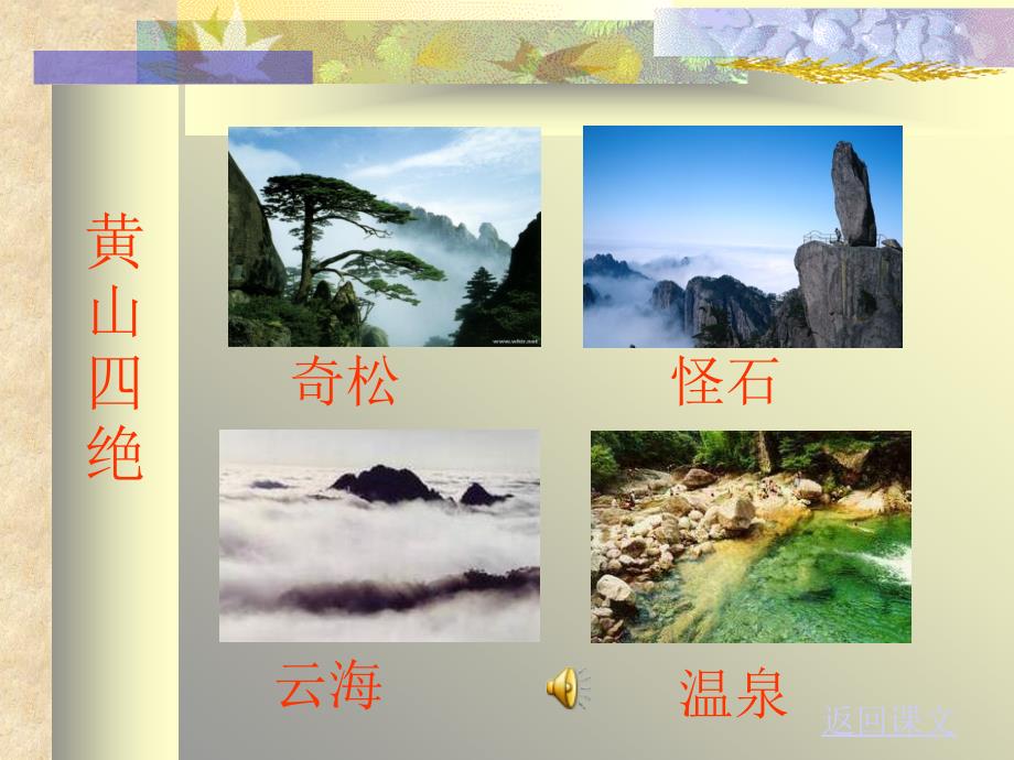 黄山奇松课件_第4页