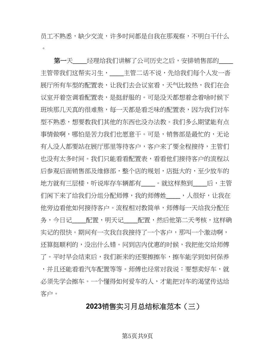 2023销售实习月总结标准范本（4篇）.doc_第5页