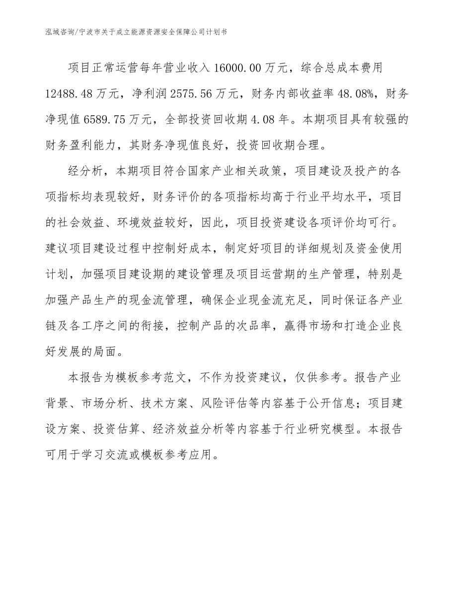 宁波市关于成立能源资源安全保障公司计划书模板范本_第5页