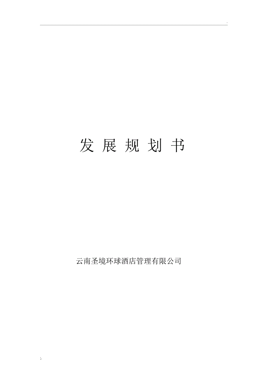 公司企业发展与规划计划书_第1页