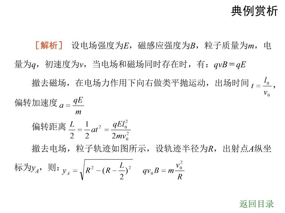 高考物理带电粒子在复合场中的运动专题刺课件_第5页