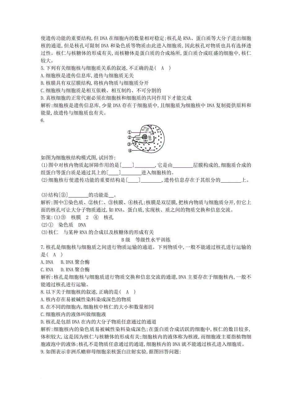 高中生物 第3章 细胞的基本结构 第3节 细胞核—系统的控制中心试题 新人教版必修1_第2页