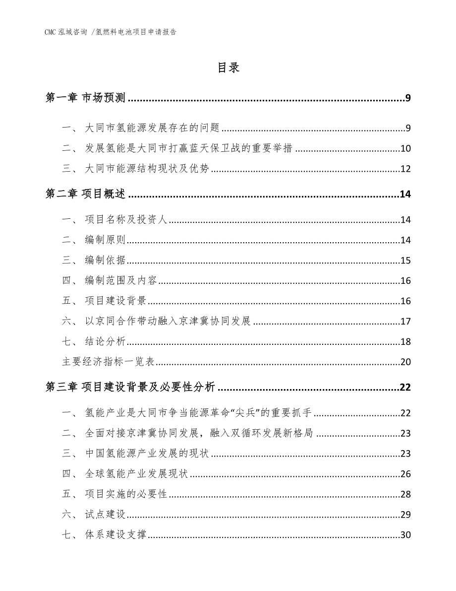 氢燃料电池项目申请报告-范文参考_第1页