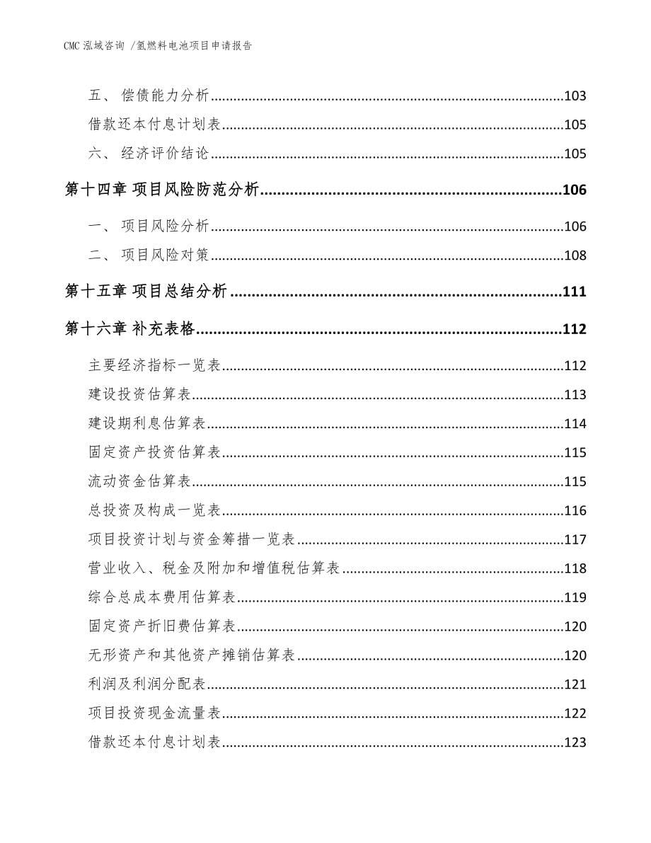 氢燃料电池项目申请报告-范文参考_第5页