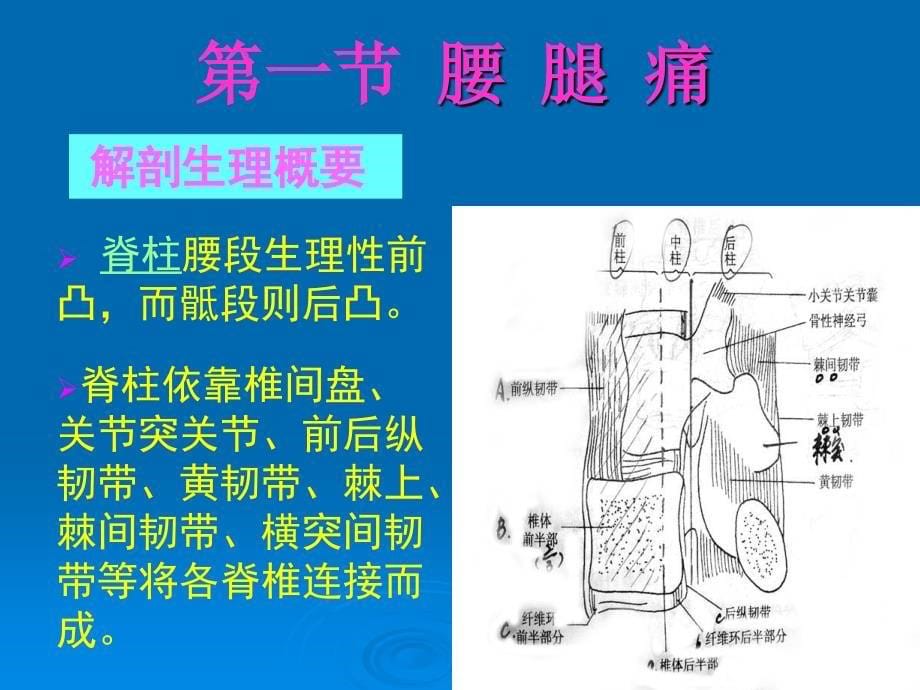 腰腿痛和颈肩痛讲义(新)_第5页