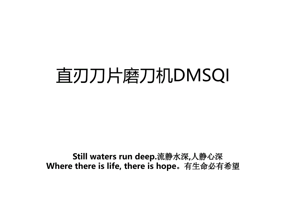 直刃刀片磨刀机DMSQI_第1页