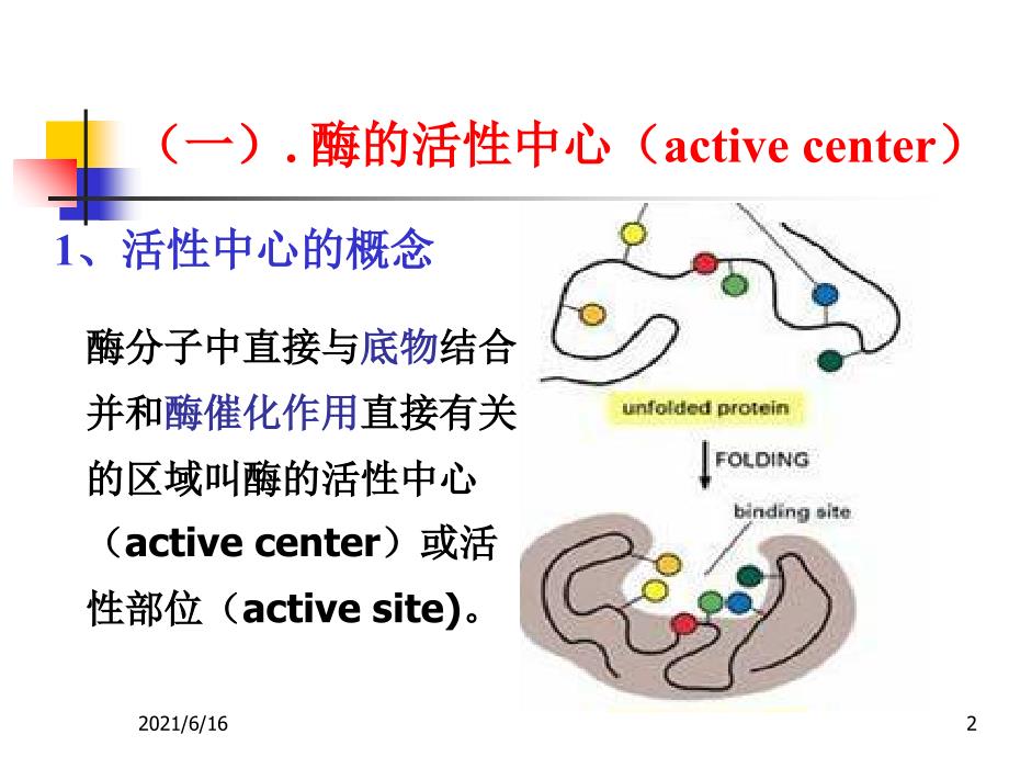 2011 酶作用机制_第2页