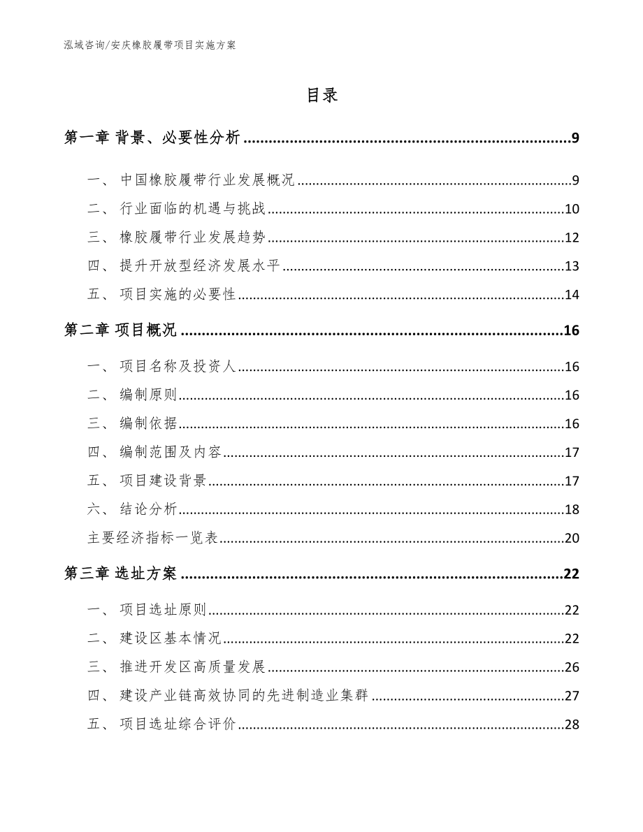 安庆橡胶履带项目实施方案_模板范本_第2页