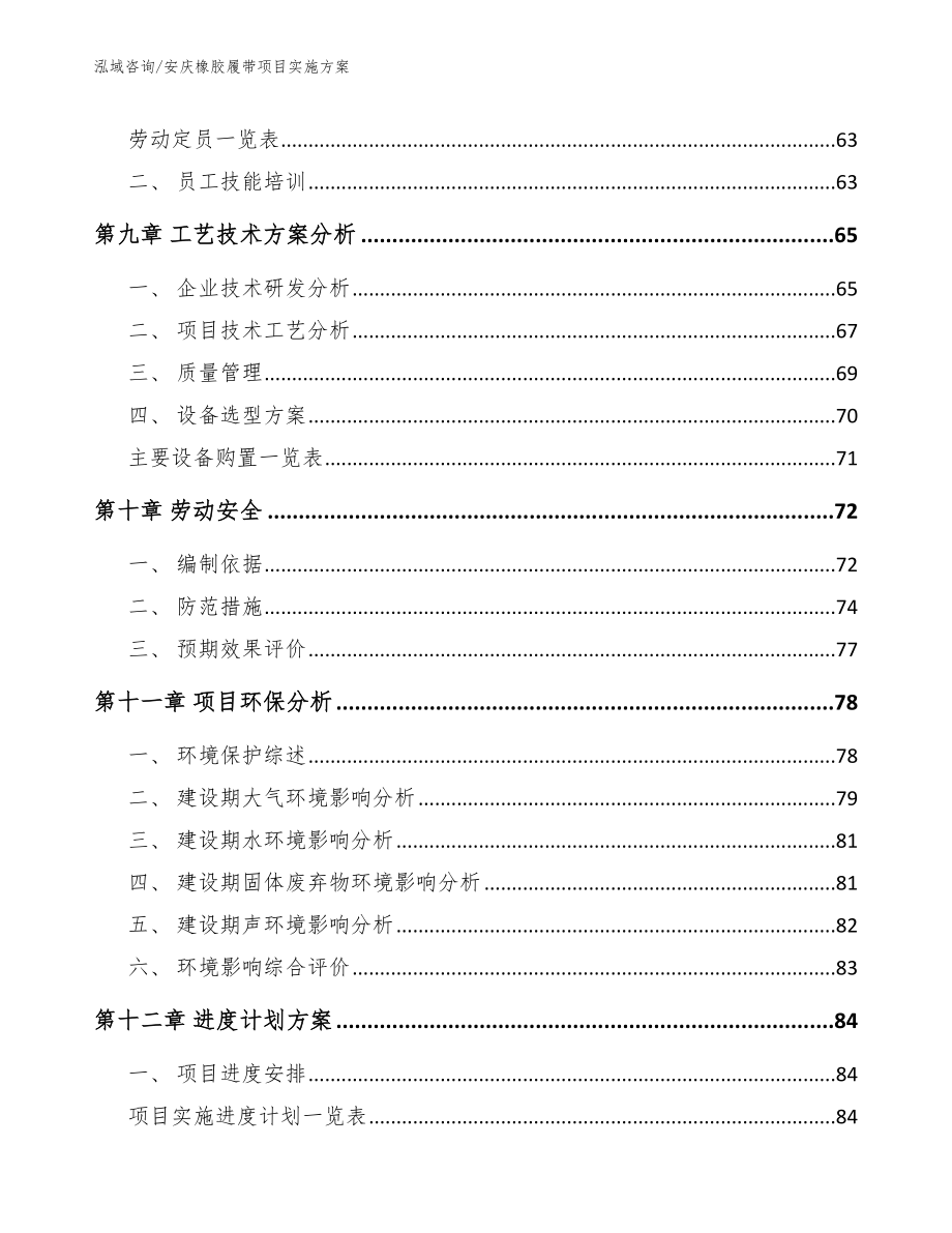 安庆橡胶履带项目实施方案_模板范本_第4页