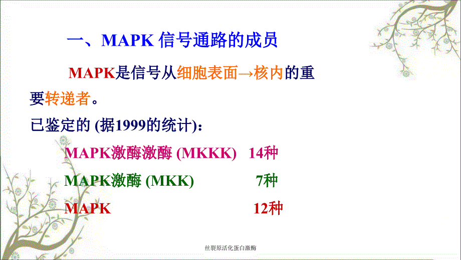 丝裂原活化蛋白激酶_第4页