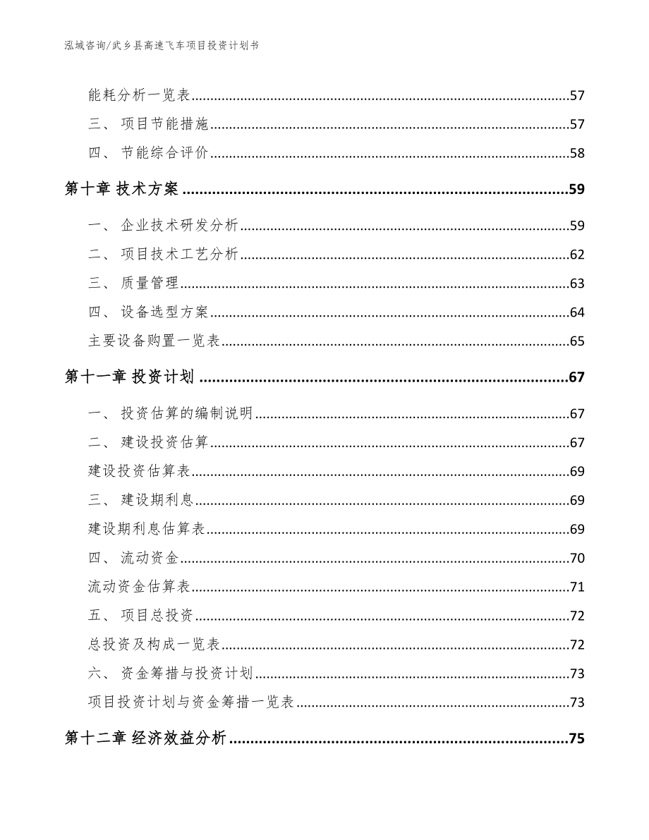 武乡县高速飞车项目投资计划书【模板参考】_第3页