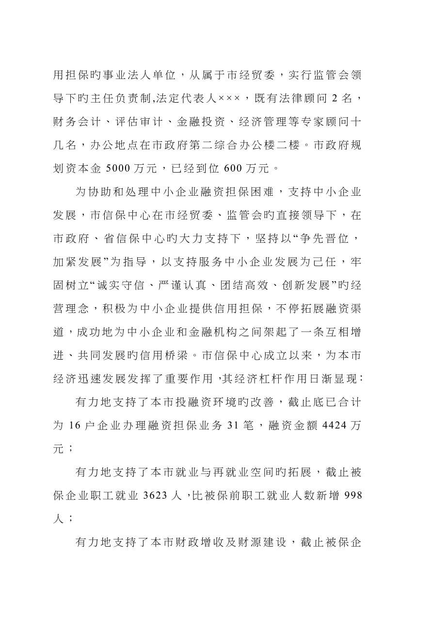 设立担保有限公司可研报告_第5页