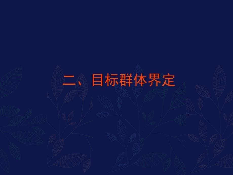 南昌天赐良园三期别墅推广策略提案_第5页