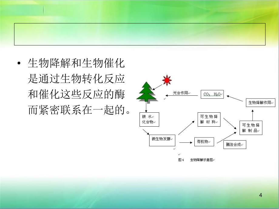 塑料降解PPT精选文档_第4页