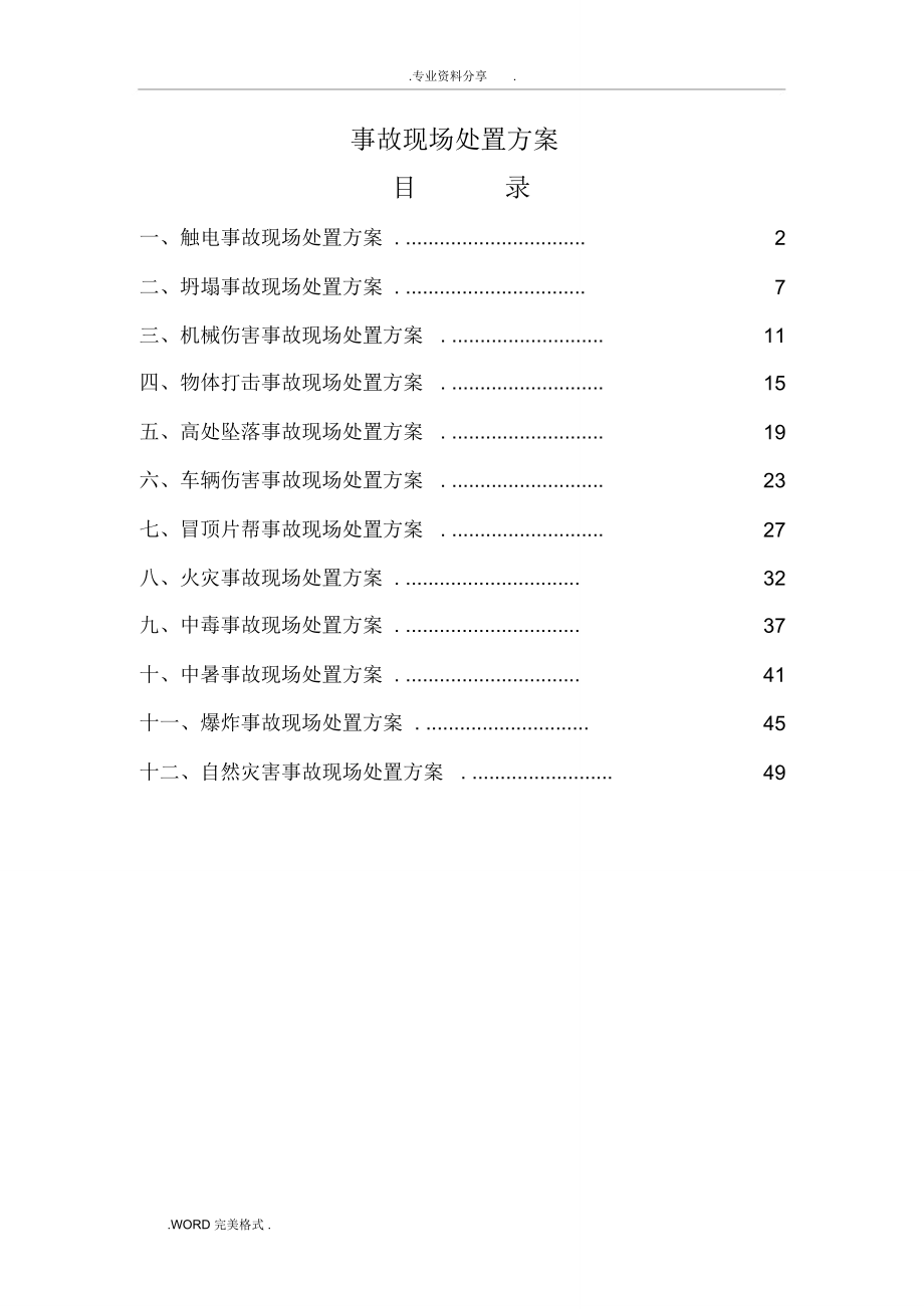 生产现场处置应急处置方案报告_第1页