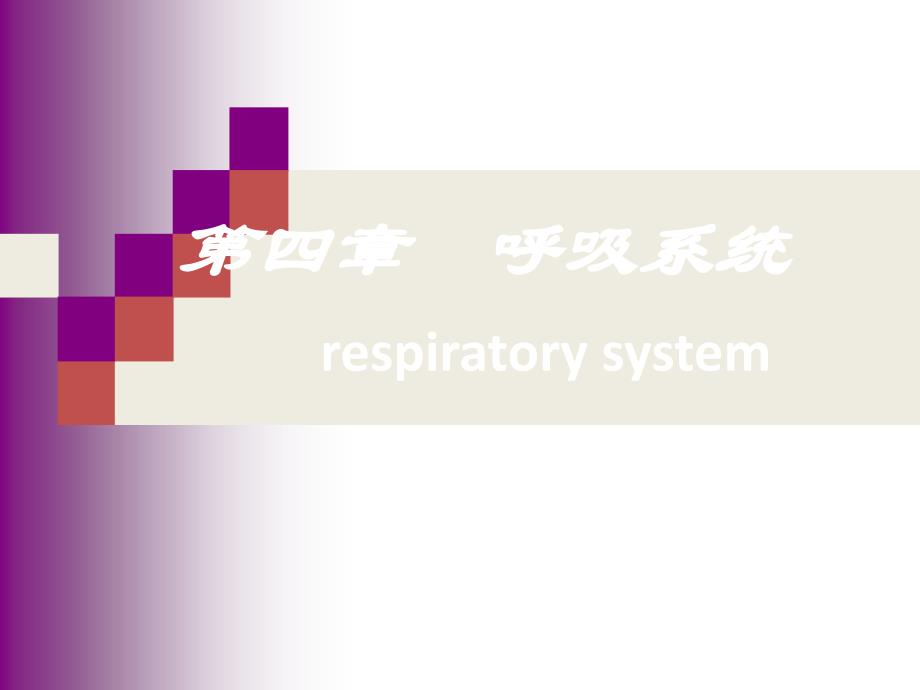 系统解剖学之呼吸系统_第1页