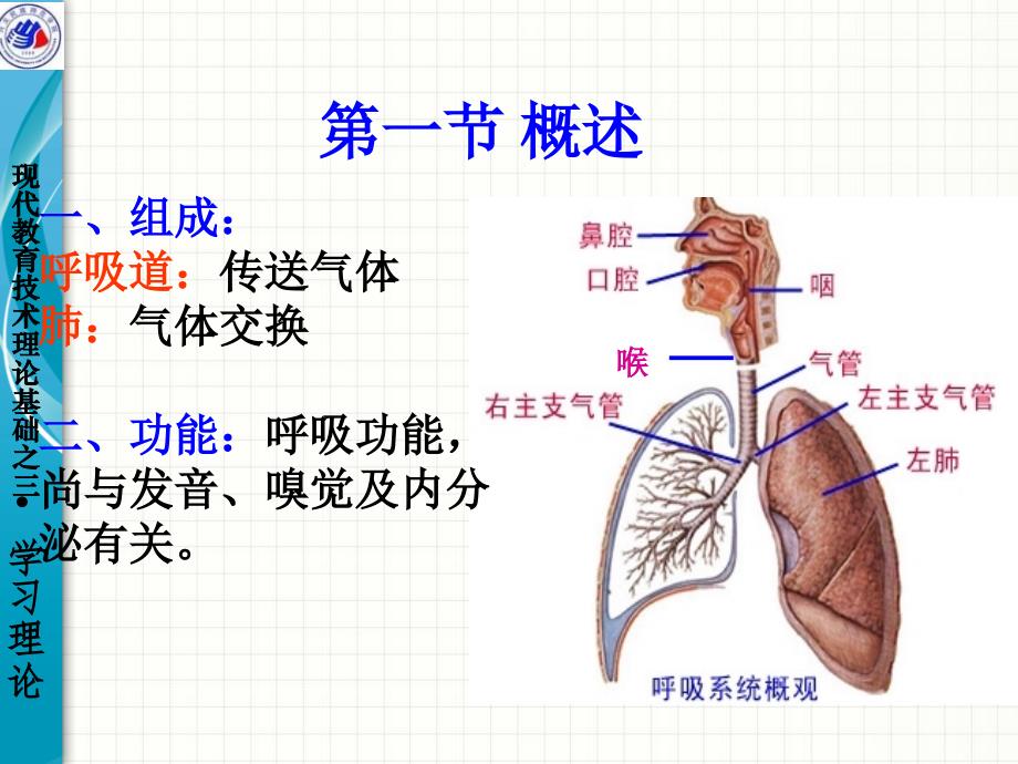 系统解剖学之呼吸系统_第3页