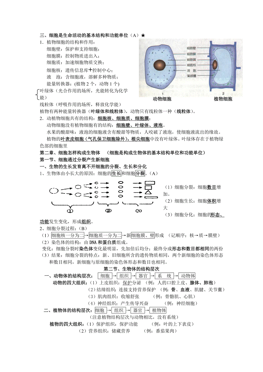 新人教版初中生物会考知识点复习资料_第3页