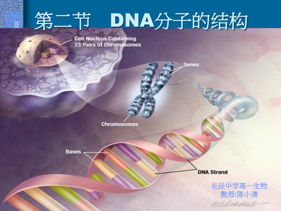 教学课件第二节DNA分子的结构_第1页