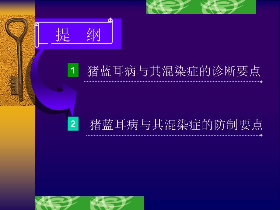 猪蓝耳病与混染症.ppt_第2页