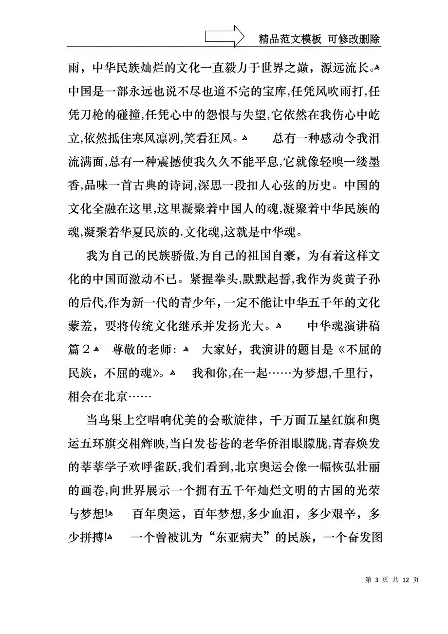 中华魂演讲稿五篇1_第3页