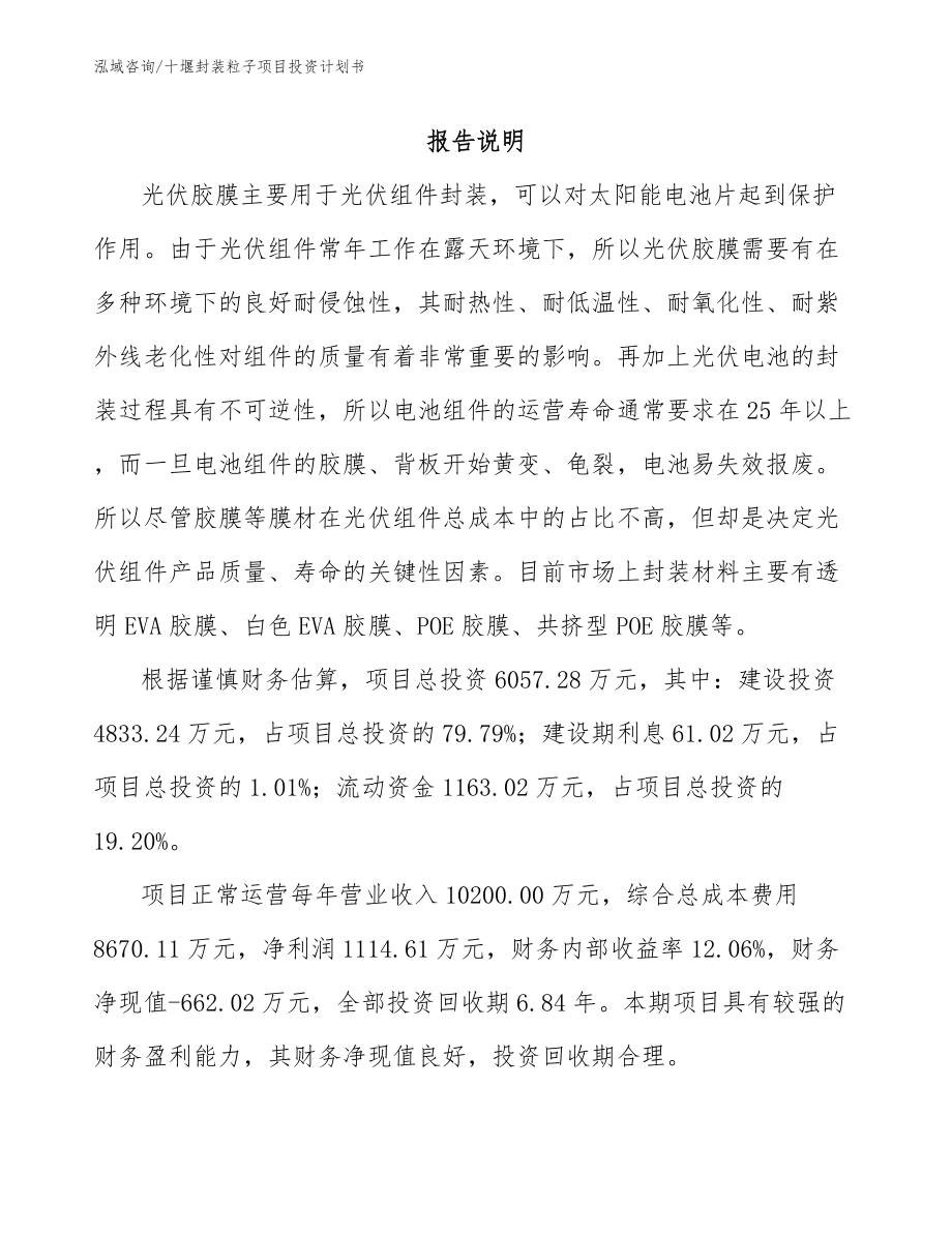 十堰封装粒子项目投资计划书_第2页