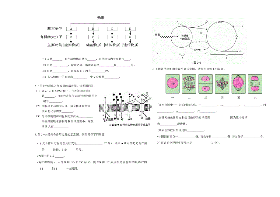 高一生物期末试卷.doc_第3页