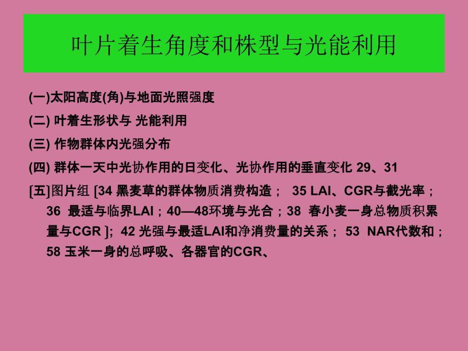 叶株型与光能ppt课件_第1页