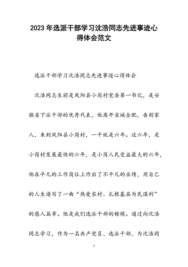 2023年选派干部学习沈浩同志先进事迹心得体会.docx