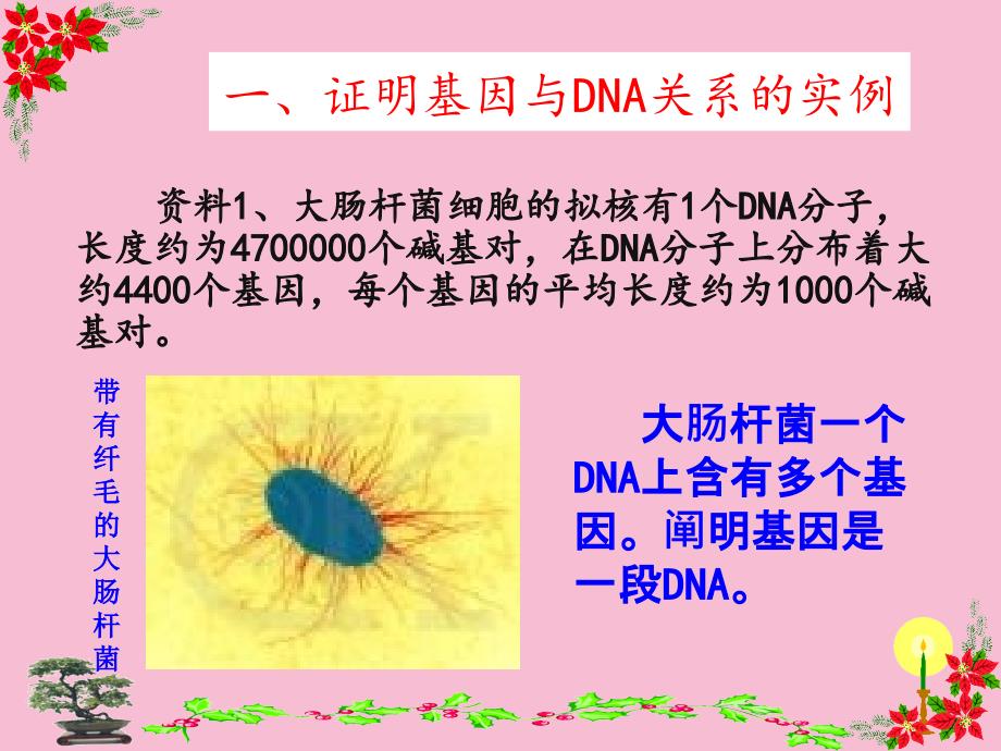 人教版教学高中生物学精品基因是有遗传效应的DNA片段ppt课件_第3页