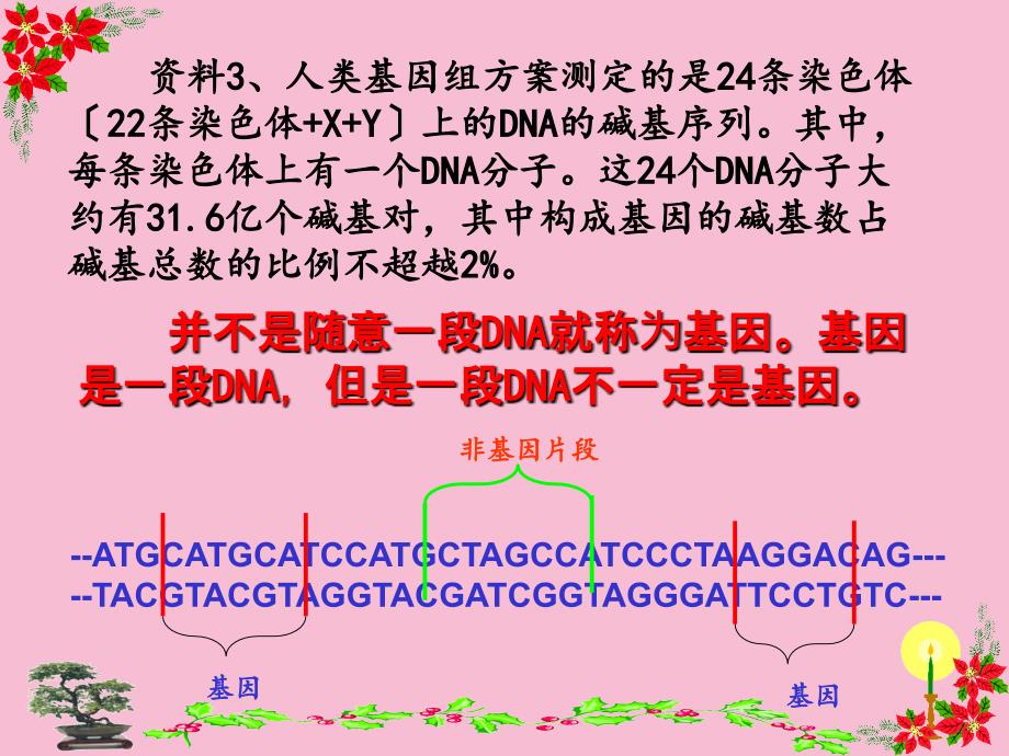 人教版教学高中生物学精品基因是有遗传效应的DNA片段ppt课件_第5页